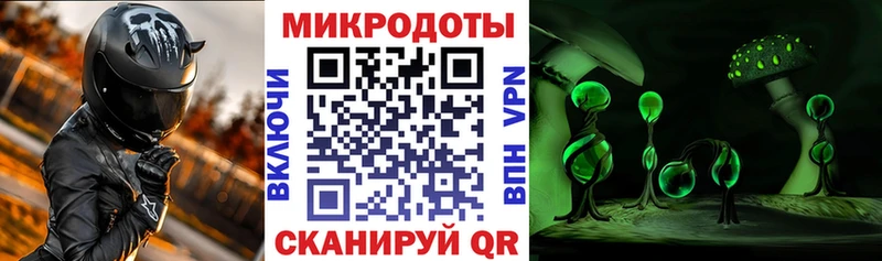 блэк спрут   Шенкурск  Галлюциногенные грибы MAGIC MUSHROOMS 