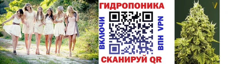 Шишки марихуана сатива  Шенкурск 